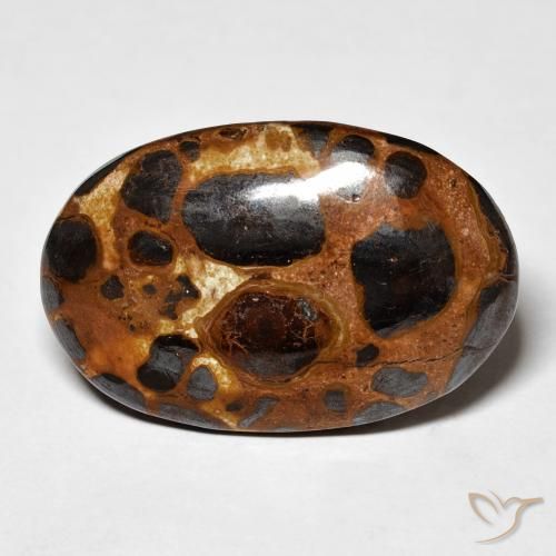 19.43ct 자연스러운 다색 벽옥, 타원형, 불투명체