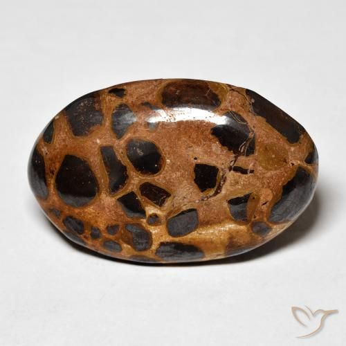 20.50ct 자연스러운 다색 벽옥, 타원형, 불투명체