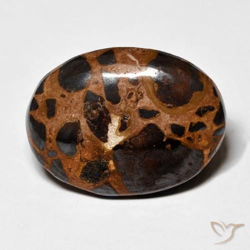 19.16ct 자연스러운 다색 벽옥, 타원형, 불투명체