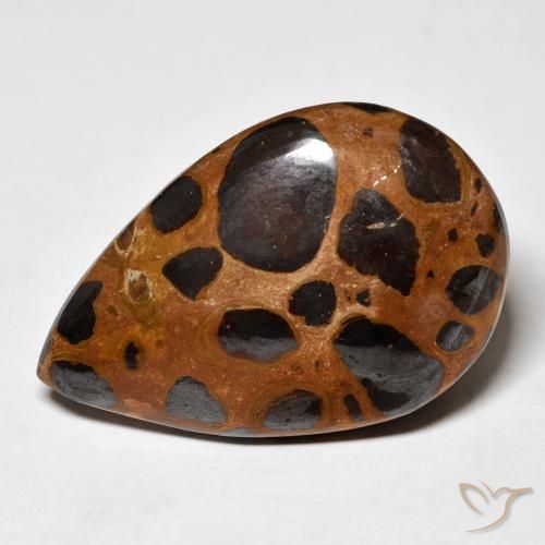 24.78ct 자연스러운 다색 벽옥, 배 모양, 불투명체