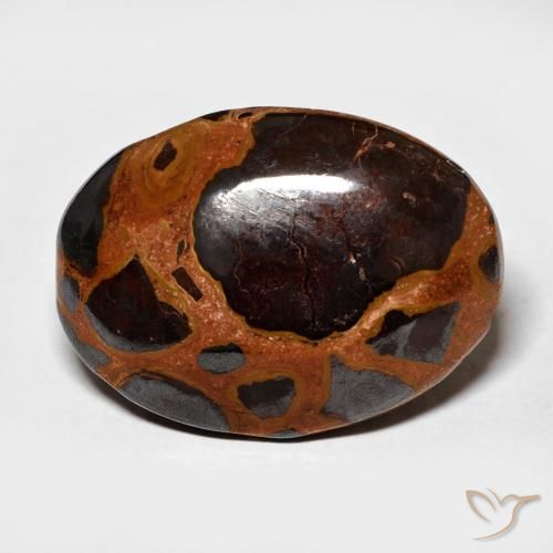 13.64ct 자연스러운 다색 벽옥, 타원형, 불투명체