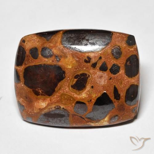 19.46ct 자연스러운 다색 벽옥, 방석, 불투명체