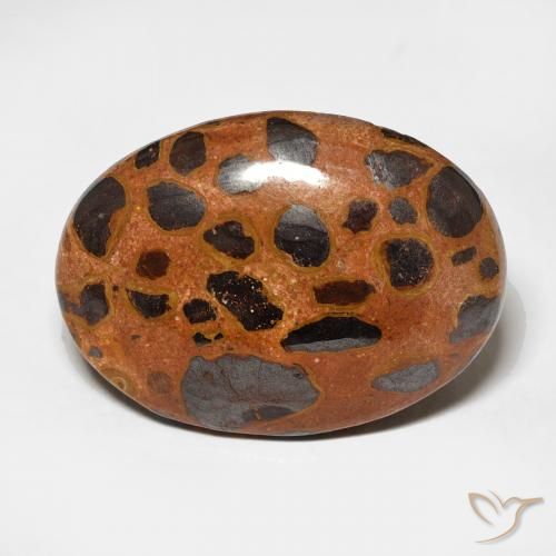 17.25ct 자연스러운 다색 벽옥, 타원형, 불투명체