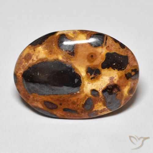 12.26ct 자연스러운 다색 벽옥, 타원형, 불투명체