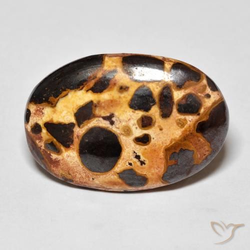 16.03ct 자연스러운 다색 벽옥, 타원형, 불투명체