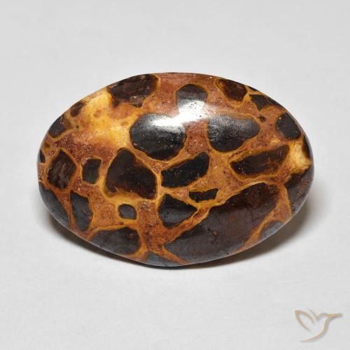 13.57ct 자연스러운 다색 벽옥, 타원형, 불투명체