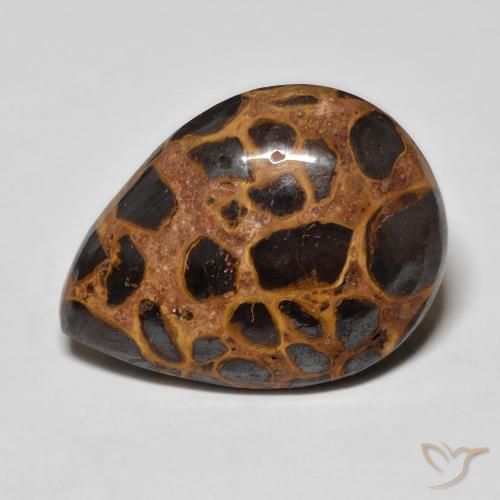 13.93ct 자연스러운 다색 벽옥, 배 모양, 불투명체