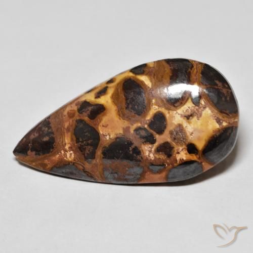 16.69ct 자연스러운 다색 벽옥, 배 모양, 불투명체