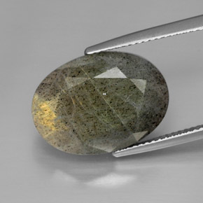 13.58캐럿 천연 멀티컬러 라브라도라이트, 타원형 컷, 18.1×13.1 mm, 불투명체