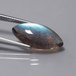 5.19캐럿 천연 멀티컬러 라브라도라이트, 투명한, 18.1×8.7 mm, 투명/반투명