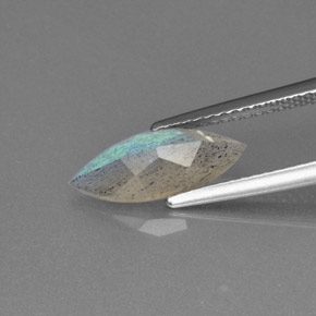 1.40캐럿 천연 그레이 블루 광택 라브라도라이트, 투명한, 13.2×5.4 mm, 투명/반투명