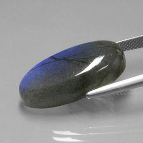 19.57캐럿 천연 그레이 블루 광택 라브라도라이트, 타원형 컷, 24.5×13.1 mm, 투명한