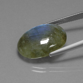 15.85캐럿 천연 그레이 블루 쉰 조회 장석, 타원형 컷, 투명한