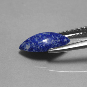 1.60캐럿 천연 로열 블루 라피스 라줄리, 마퀴즈, 11.7×6.5 mm, 불투명체