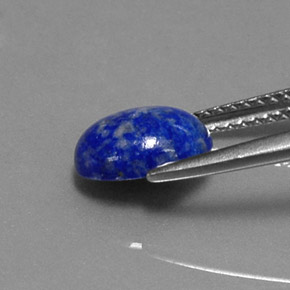1.67캐럿 천연 로열 블루 라피스 라줄리, 타원형 컷, 8.8×7 mm, 불투명체
