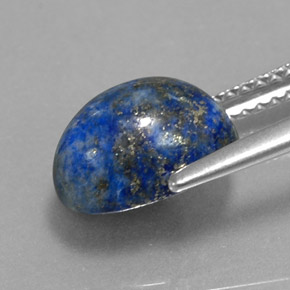 3.52캐럿 천연 로열 블루 라피스 라줄리, 타원형 컷, 10.1×7 mm, 불투명체