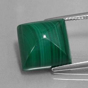 15.43캐럿 천연 미디엄 그린 말라카이트, 스퀘어, 13×13 mm, 불투명체