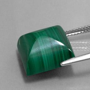 15.43캐럿 천연 미디엄 그린 말라카이트, 스퀘어, 13×13 mm, 불투명체
