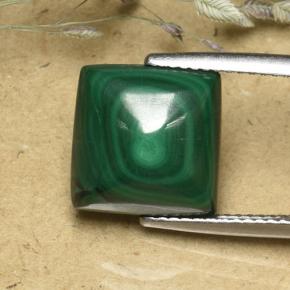 8.08캐럿 천연 여러 가지 빛깔의 녹색 말라카이트, 스퀘어, 11.3×11.2 mm, 불투명체