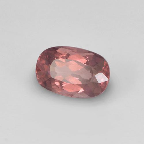 0.76캐럿 천연 미디엄 다크 핑크 말레이 가넷, 쿠션 컷, 6.1×4.1 mm, VS