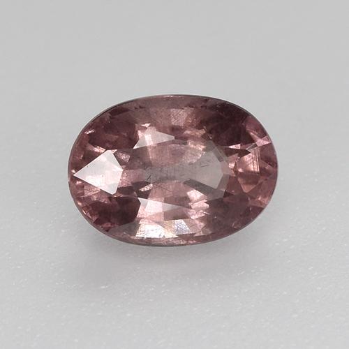 0.75캐럿 천연 다크 레드 말레이 가넷, 타원형 컷, 6.1×4.4 mm, VS