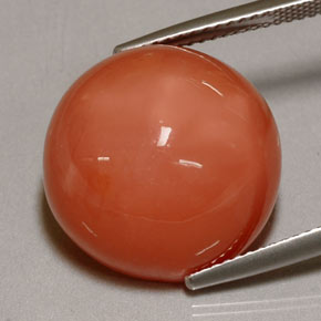 20.38캐럿 천연 모카 오렌지 문스톤, 투명한, 16.84 mm, 투명/반투명