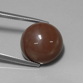 20.19캐럿 천연 모카 문스톤, 라운드 컷, 17.00 mm, 불투명체