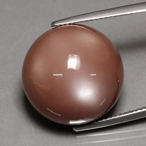 24.39캐럿 천연 모카 오렌지 문스톤, 라운드 컷, 18.10 mm, 불투명체