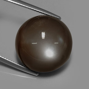 30.64캐럿 천연 모카 문스톤, 라운드 컷, 19.03 mm, 투명한