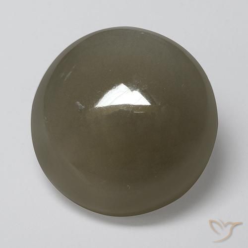 16.89ct 자연스러운 그레이 브라운 월장석, 둥근, 투명한