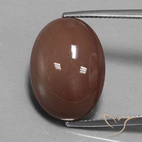 18.34ct 자연스러운 적갈색 월장석, 타원형, 불투명체