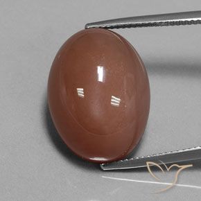 23.67ct 자연스러운 미디엄 브라운 월장석, 타원형, 불투명체