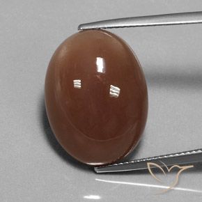 16.52ct 자연스러운 미디엄 브라운 월장석, 타원형, 투명한