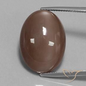 23.78ct 자연스러운 미디엄 브라운 월장석, 타원형, 불투명체
