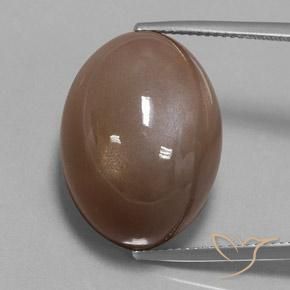 36.79ct 자연스러운 에스프레소 브라운 월장석, 타원형, 불투명체