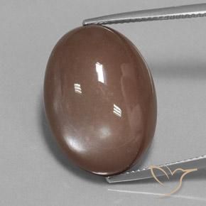 22.65ct 자연스러운 미디엄 브라운 월장석, 타원형, 불투명체