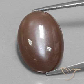 22.15ct 자연스러운 에스프레소 브라운 월장석, 타원형, 불투명체