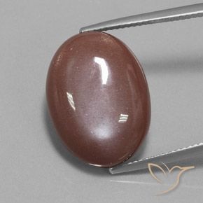 19.73ct 자연스러운 시나몬 브라운 월장석, 타원형, 불투명체