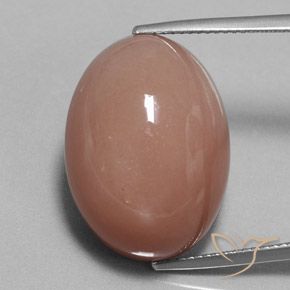 31.34ct 자연스러운 라이트 시나몬 브라운 월장석, 타원형, 불투명체
