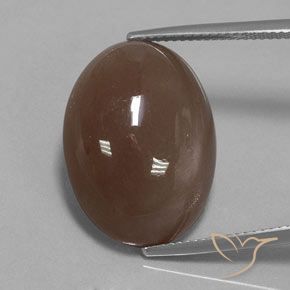 20.61ct 자연스러운 미디엄 브라운 월장석, 타원형, 불투명체