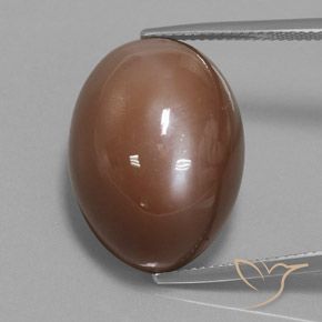 31.30ct 자연스러운 웜 브라운 월장석, 타원형, 불투명체
