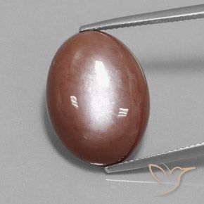 18.74ct 자연스러운 시나몬 브라운 월장석, 타원형, 불투명체