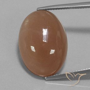 19.57ct 자연스러운 미디엄 브라운 월장석, 타원형, 투명한