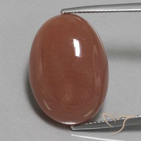22.59ct 자연스러운 미디엄 브라운 월장석, 타원형, 불투명체