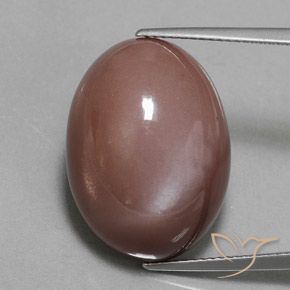 23.55ct 자연스러운 미디엄 브라운 월장석, 타원형, 불투명체