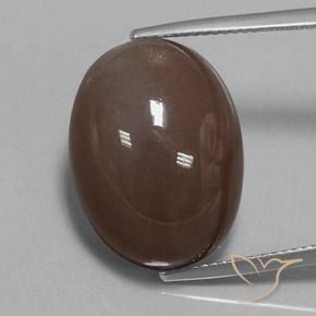 20.93ct 자연스러운 미디엄 브라운 월장석, 타원형, 불투명체