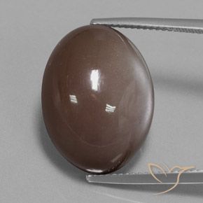 21.72ct 자연스러운 초콜릿 브라운 월장석, 타원형, 불투명체
