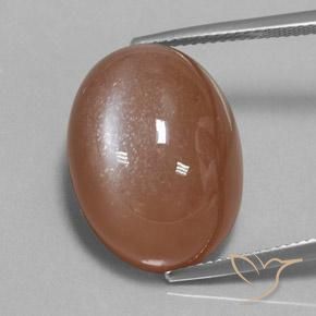 24.75ct 자연스러운 웜 브라운 월장석, 타원형, 불투명체