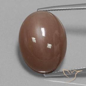 22.75ct 자연스러운 미디엄 브라운 월장석, 타원형, 불투명체
