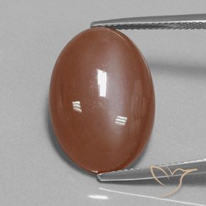 15.54ct 자연스러운 시나몬 브라운 월장석, 타원형, 불투명체